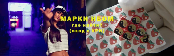 хмурый Аркадак