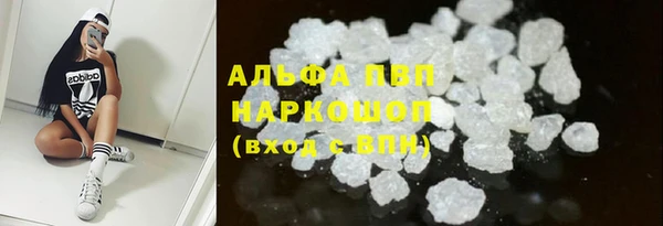 хмурый Аркадак