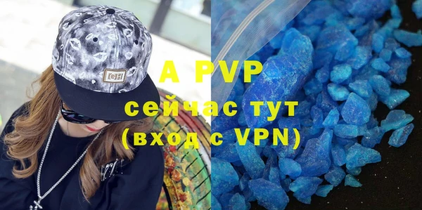 хмурый Аркадак