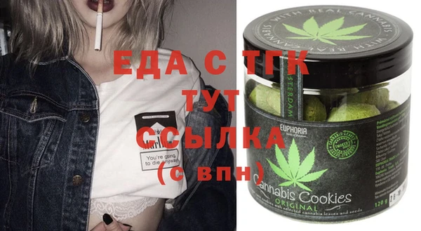 хмурый Аркадак