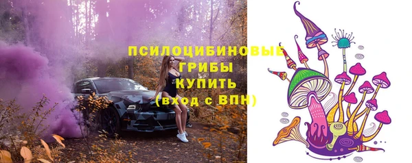 дурь Балахна