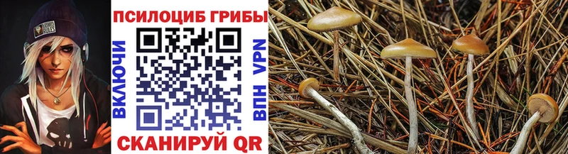 omg сайт  Курган  Псилоцибиновые грибы мухоморы 